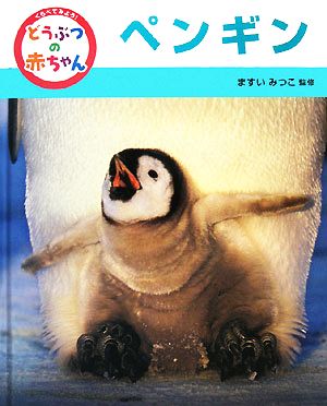 くらべてみよう！どうぶつの赤ちゃん(10) ペンギン