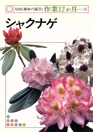 趣味の園芸 シャクナゲ NHK趣味の園芸 作業12か月15