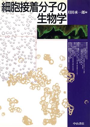 細胞接着分子の生物学