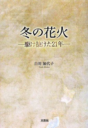 冬の花火 駆け抜けた21年