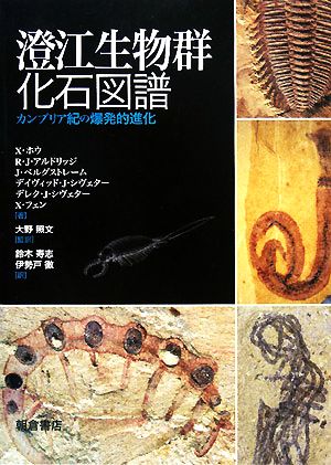 澄江生物群化石図譜カンブリア紀の爆発的進化
