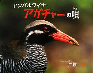 ヤンバルクイナ・アガチャーの唄 そうえん社・写真のえほん5