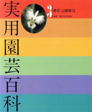 草花 山野草 2