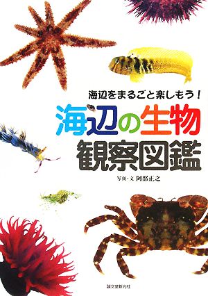 海辺の生物観察図鑑 海辺をまるごと楽しもう！