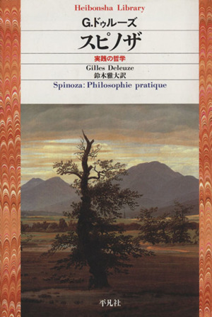 スピノザ 実践の哲学 平凡社ライブラリー440