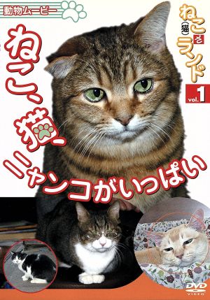 ねこ(猫)ざ ランド1(ねこ、猫、ニャンコがいっぱい)