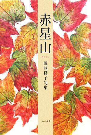 赤星山 藤城良子句集 青山叢書