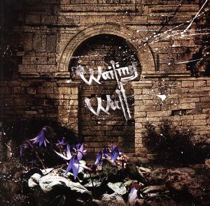 Wailing Wall(初回限定盤)(DVD付)