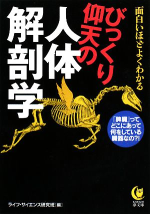 びっくり仰天の人体解剖学 面白いほどよくわかる 「脾臓」って、どこにあって何をしている臓器なの?! KAWADE夢文庫