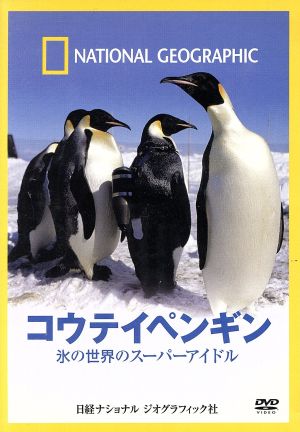 ナショナル ジオグラフィック コウテイペンギン 氷の世界のスーパーアイドル