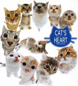 Cat's Heart