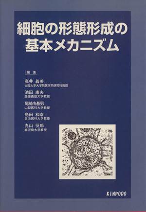 細胞の形態形成の基本メカニズム