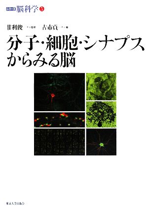 分子・細胞・シナプスからみる脳 シリーズ脳科学5