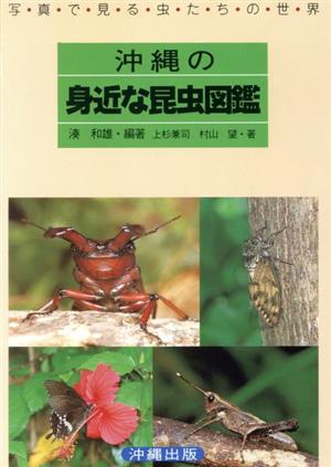 !即決!沖縄の身近な、あるいは珍しい昆虫たち209種「南の島の昆虫記」湊 和雄