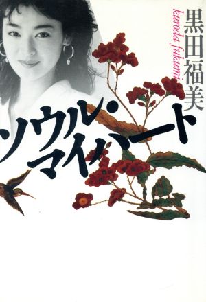 ソウル・マイハート ひたすらに、素直に、韓国!!