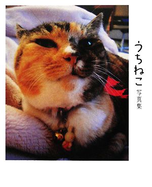 うちねこ写真集