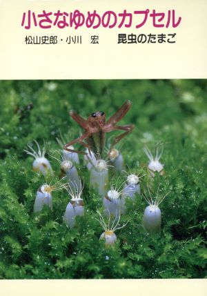 写真動物記 小さなゆめのカプセル昆虫のたまご