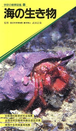 海の生き物学研の観察図鑑12