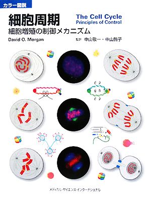 カラー図説 細胞周期細胞増殖の制御メカニズム