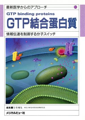 GTP結合蛋白質