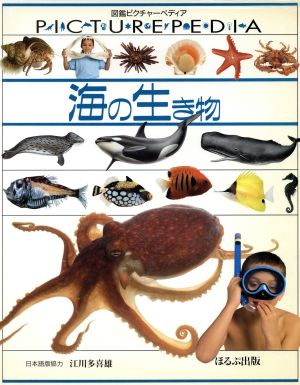 海の生き物 図鑑ピクチャーペディア