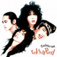 reVAMPed(紙ジャケット仕様)