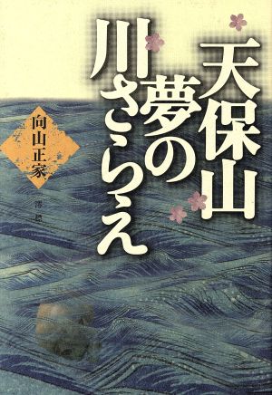 天保山夢の川さらえ