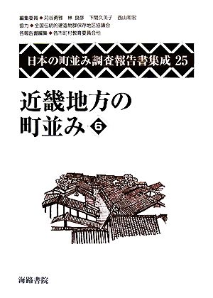 近畿地方の町並み(6) 日本の町並み調査報告書集成第25巻