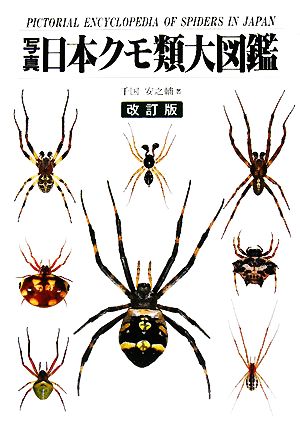 写真・日本クモ類大図鑑