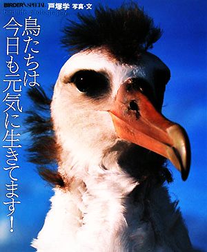 鳥たちは今日も元気に生きてます！ BIRDER SPECIAL