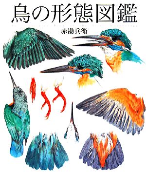 鳥の形態図鑑細密画シリーズ