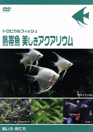 熱帯魚 美しきアクアリウム 飼い方・育て方