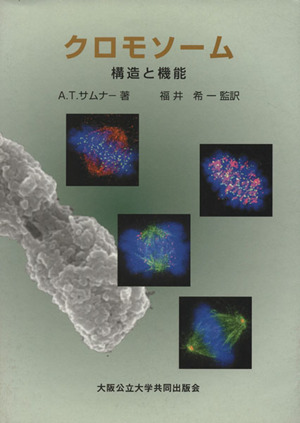 クロモソーム-構造と機能-