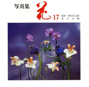 写真集 花 17