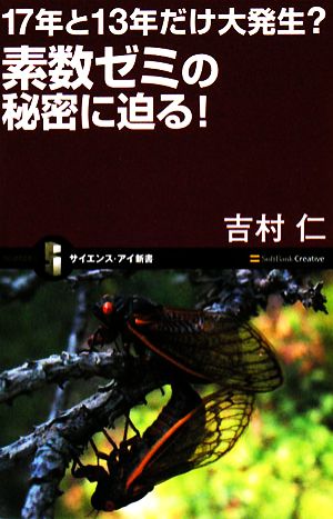 17年と13年だけ大発生？素数ゼミの秘密に迫る！ サイエンス・アイ新書