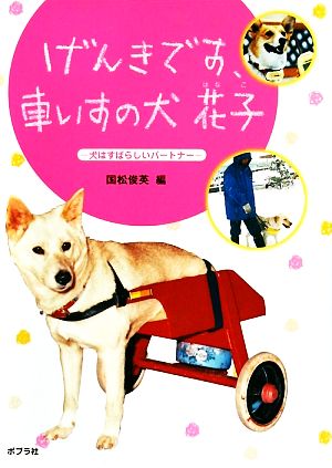 げんきです、車いすの犬花子犬はすばらしいパートナーどうぶつ感動ものがたり2