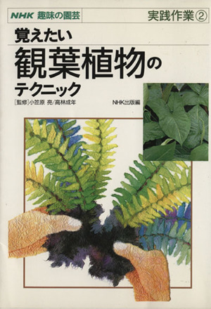 趣味の園芸 覚えたい観葉植物のテクニック 実践作業(2) NHK趣味の園芸