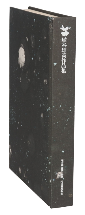 埴谷雄高作品集(別巻) 埴谷雄高論