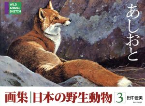 画集日本の野生動物 3