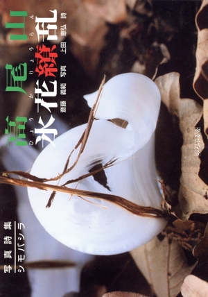 高尾山 氷花僚乱