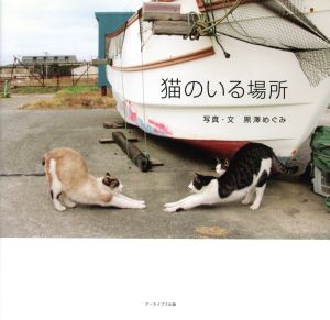 猫のいる場所