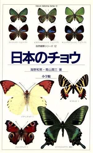 日本のチョウ自然観察シリーズ12