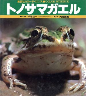 トノサマガエル カラーサイエンス