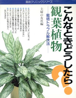 観葉植物 こんなときどうしたら？