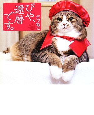 デブねこ ぴや、還暦です。