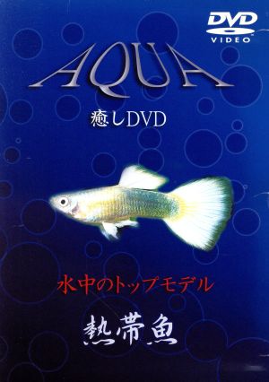 癒しDVD 水中のトップモデル 熱帯魚