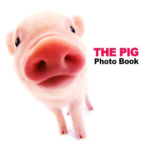 THE PIG Photo Book