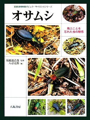 オサムシ飛ぶことを忘れた虫の魅惑琵琶湖博物館ポピュラーサイエンスシリーズ