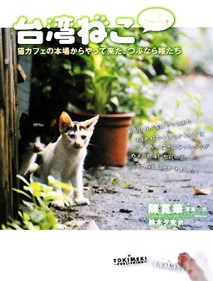 台湾ねこ ニーハオ 猫カフェの本場からやって来た、つぶらな瞳たち