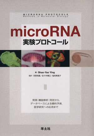 microRNA 実験プロトコール